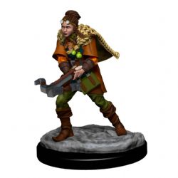 DUNGEONS & DRAGONS -  FEMALE HUMAN RANGER -  ICONS OF THE REALMS